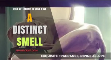 Exploring the Unique Scent of Afterbirth in Canines