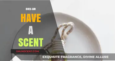 Does Air Have a Scent? Unraveling the Mystery of Odorless Air