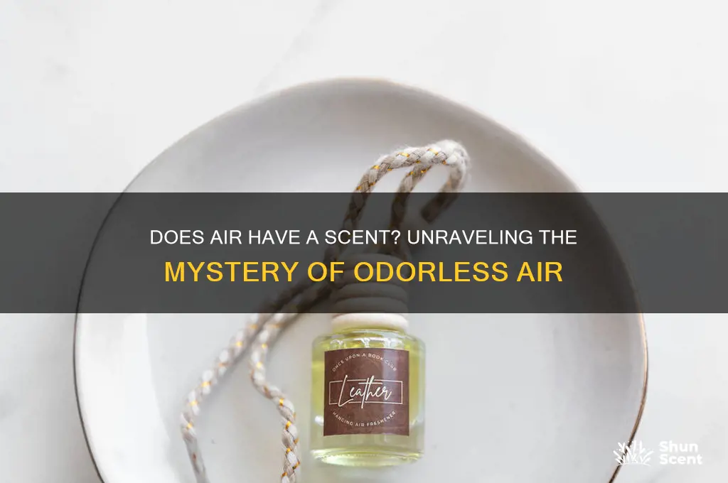 does air have a scent