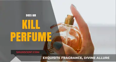 Air and Perfume: A Fragrant Friendship or Foe?