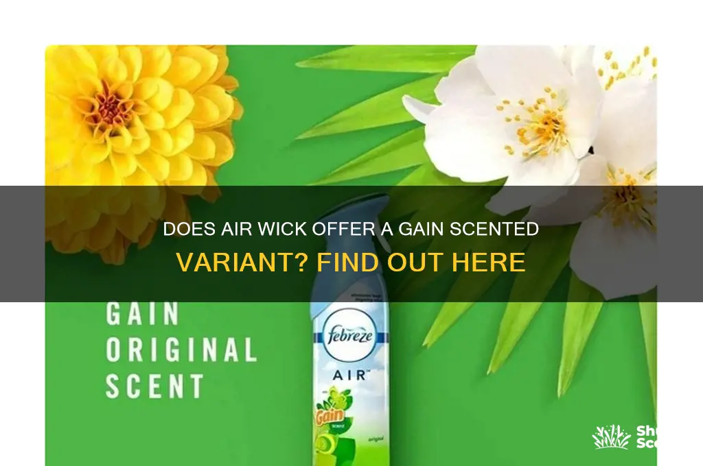 does air wick have a gain scented one