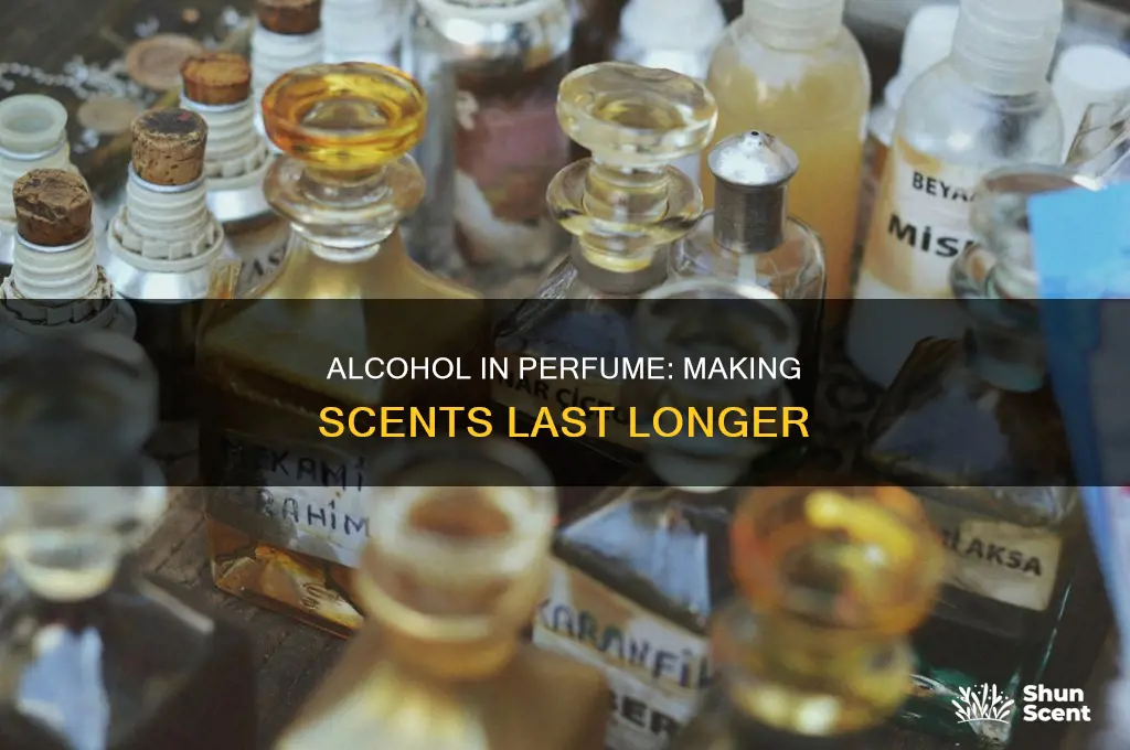 does alcohol make perfume last longer