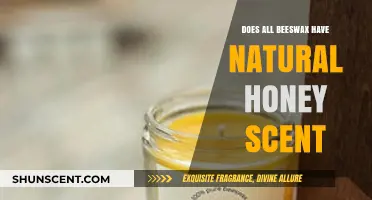 Does Beeswax Naturally Smell Like Honey? Uncovering the Truth
