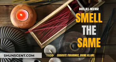 Incense Scents: Exploring Unique Aromas and Their Differences