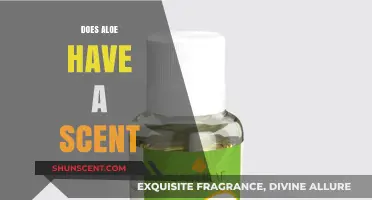 Does Aloe Vera Have a Scent? Uncovering the Truth About Its Aroma