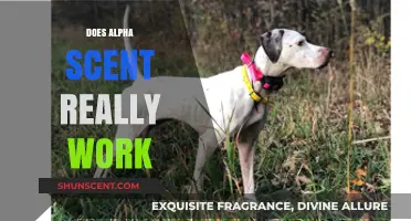 Does Alpha Scent Really Work? Uncovering the Truth Behind the Hype