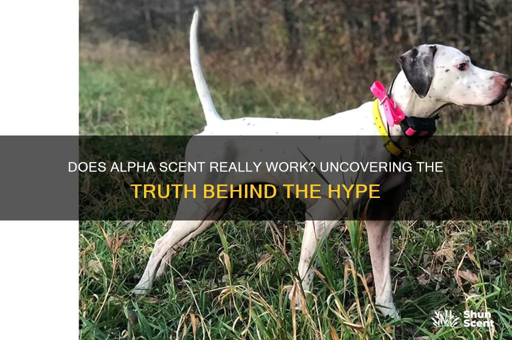 does alpha scent really work