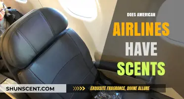 Does American Airlines Use Signature Scents on Their Flights?