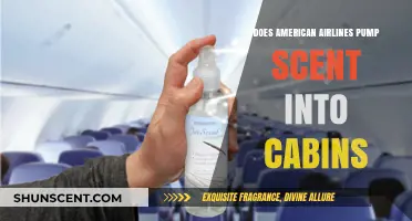 Does American Airlines Use Scented Air in Their Cabin Atmosphere?