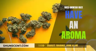 Amnesia Haze Aroma: What's the Fragrance Like?