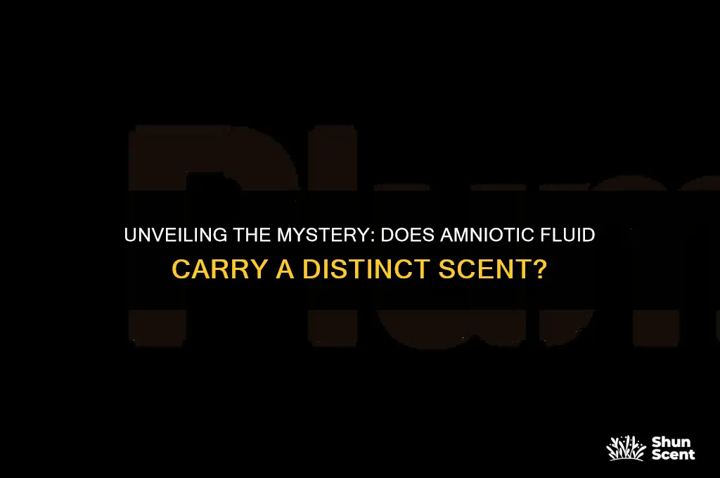 does amniotic fluid have a scent