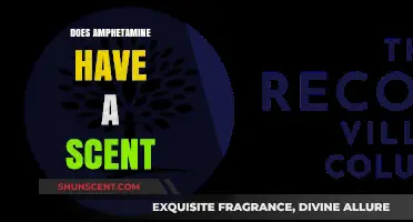 Does Amphetamine Have a Scent? Uncovering the Truth About Its Odor
