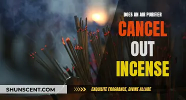 Air Purifiers and Incense: Can They Coexist?