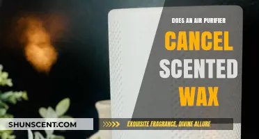 Can Air Purifiers Eliminate Scented Wax Aromas? Exploring the Truth