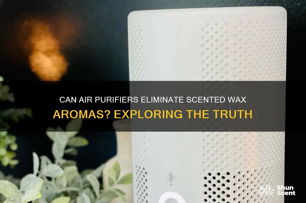 does an air purifier cancel scented wax
