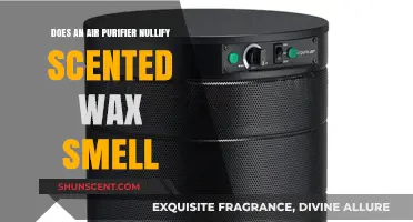 Can Air Purifiers Eliminate Scented Wax Smells? Find Out Here