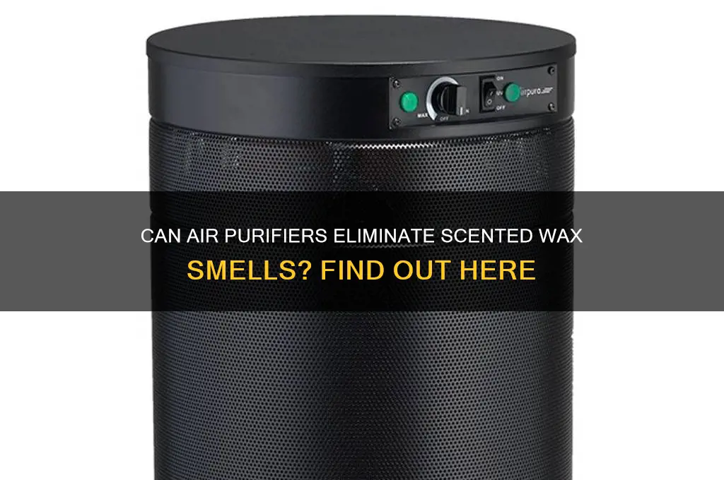 does an air purifier nullify scented wax smell