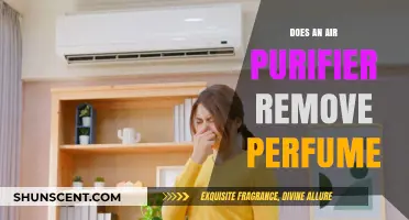 Air Purifiers: Can They Remove Perfume Odor?