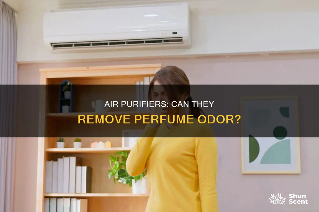 does an air purifier remove perfume