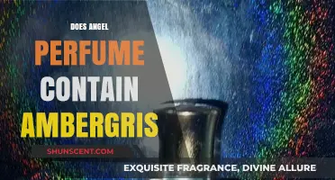 Angel Perfume: Ambergris Notes for a Divine Scent