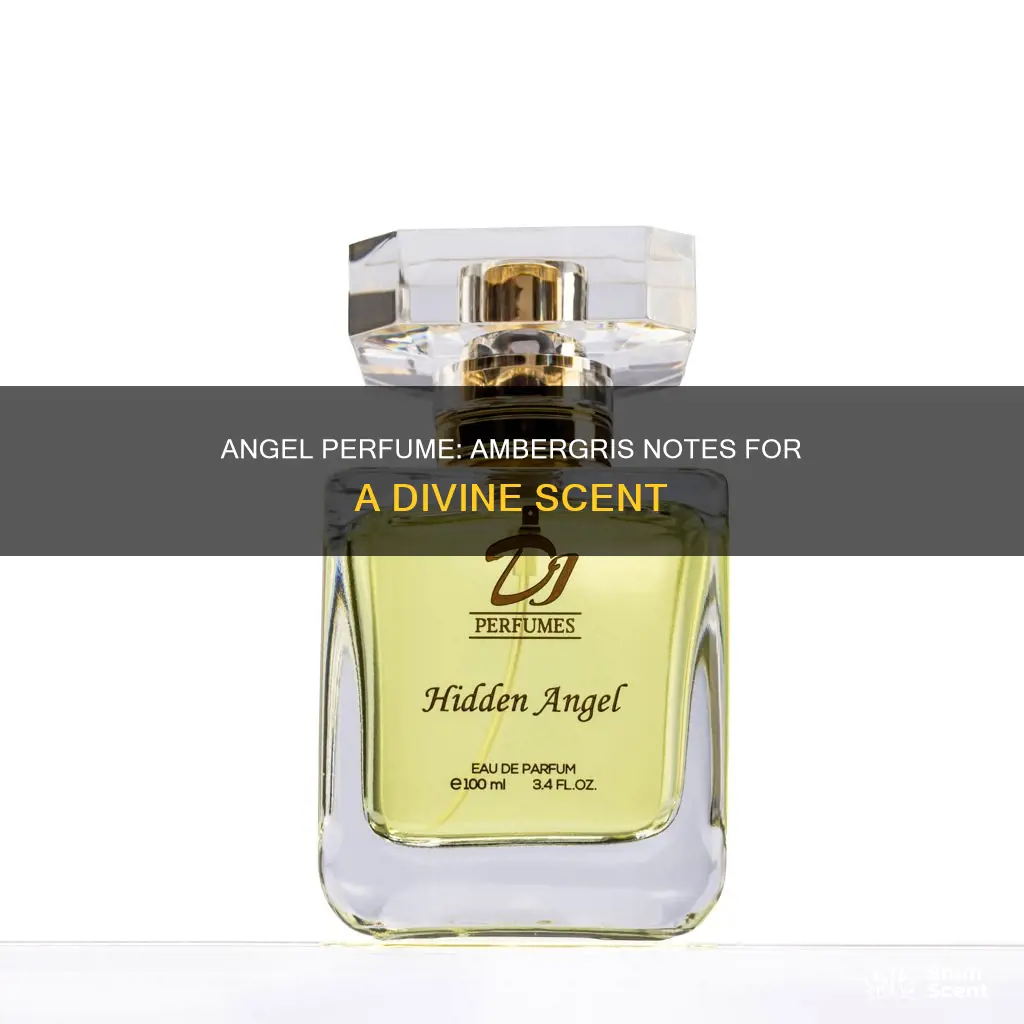 does angel perfume contain ambergris