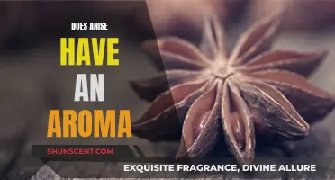 Anise Aroma: A Fragrant Spice With a Licorice Scent