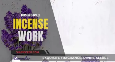 Insect Incense: Effective Pest Control or Just Smoke?