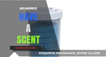 Does Antifreeze Have a Scent? Uncovering the Truth About Its Odor