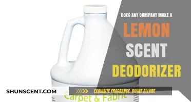 Lemon Scent Deodorizer: Which Brands Offer This Fresh Fragrance?