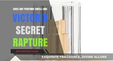 What Perfumes Smell Like Victoria Secret Rapture?