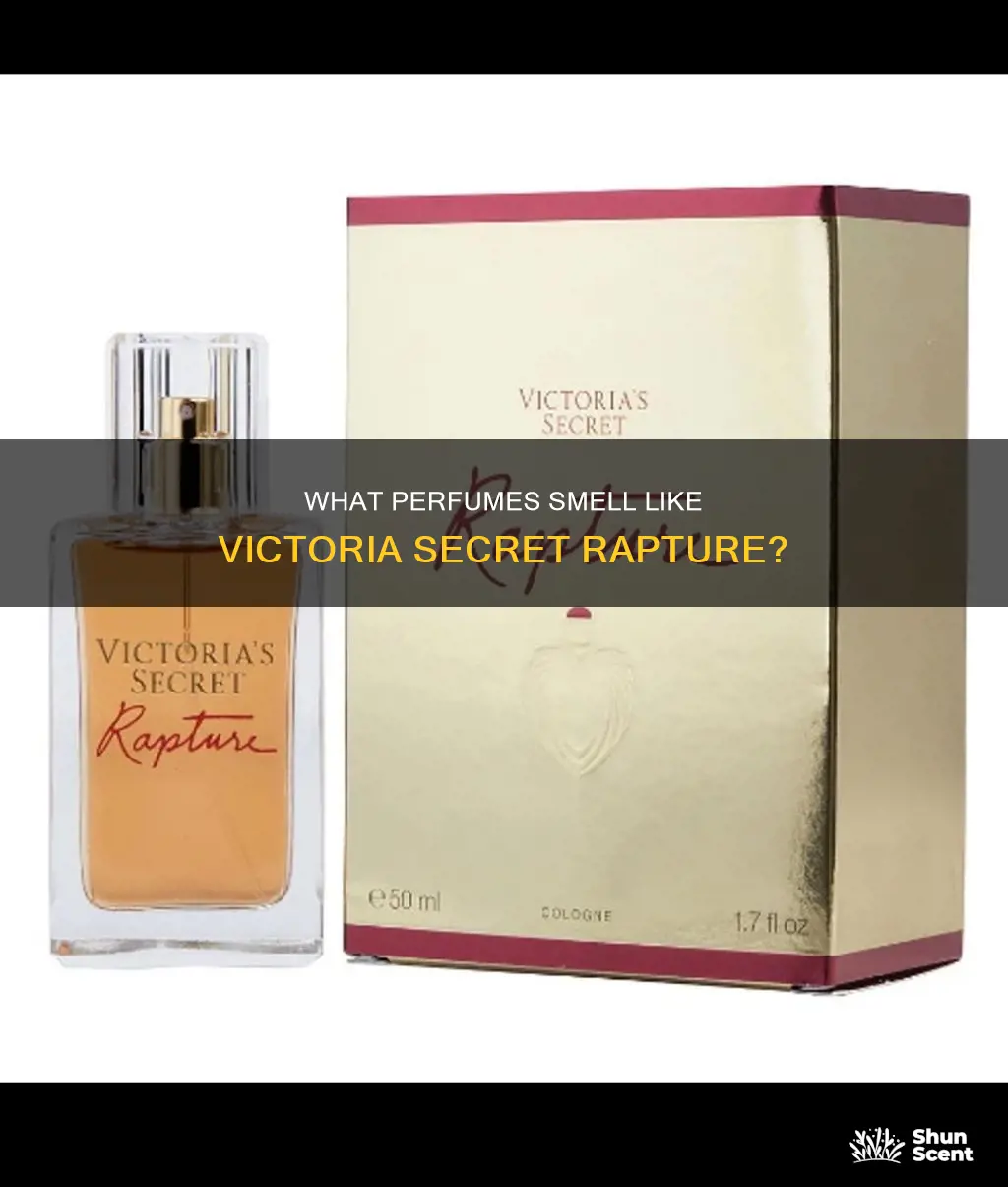 does any perfume smell like victoria secret rapture