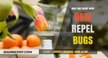 Can Scented Body Dews Effectively Repel Bugs? A Detailed Analysis