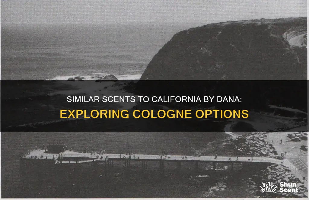 does anybody make a cologne similar to california by dana