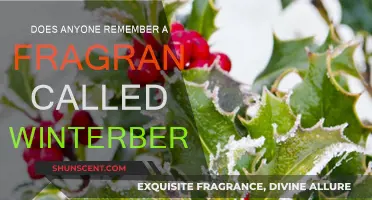 The Elusive Scent: Winterberry, a Fragrance Memory