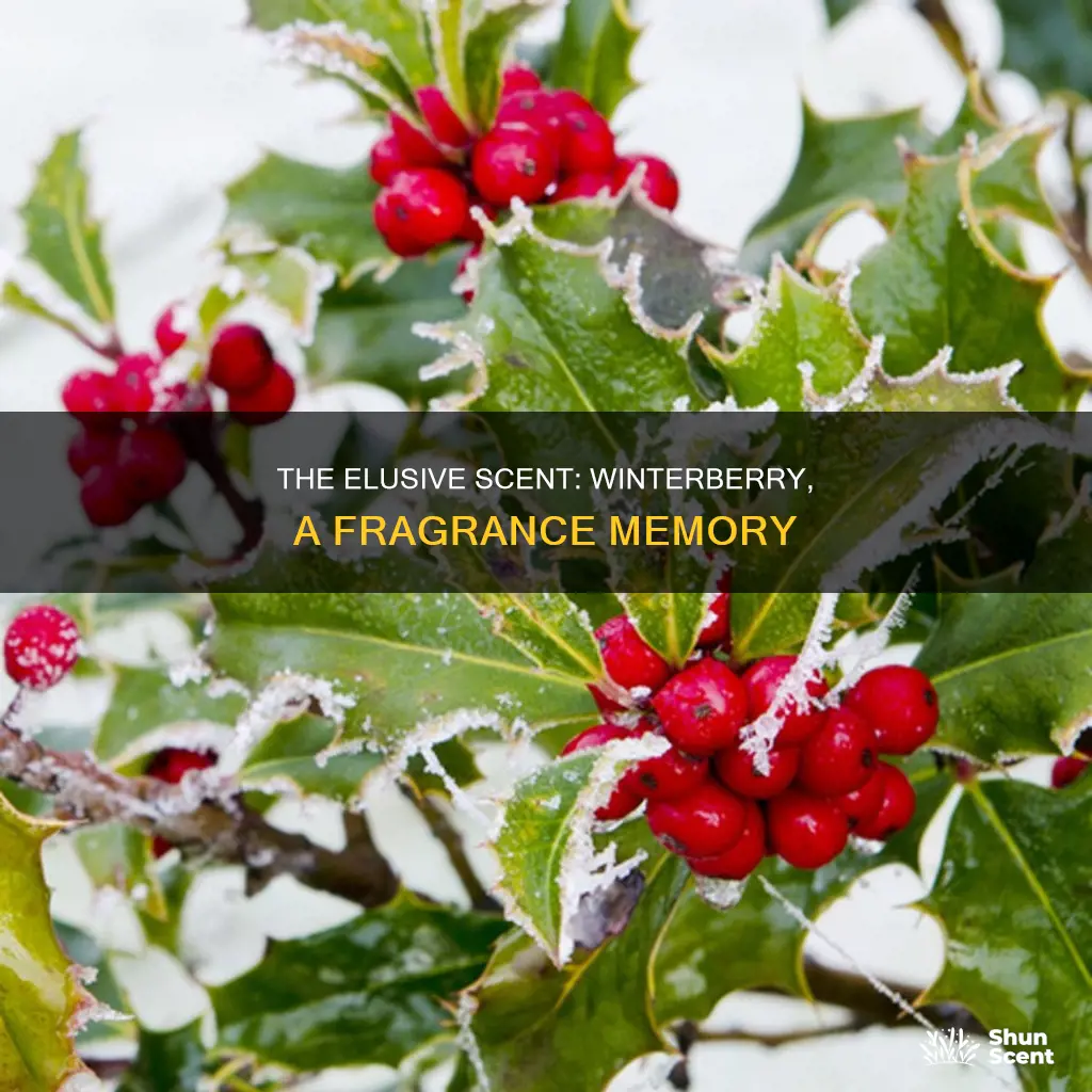 does anyone remember a fragrance called winterberry