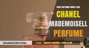 Chanel Mademoiselle Perfume: What Are the Similar Scents?