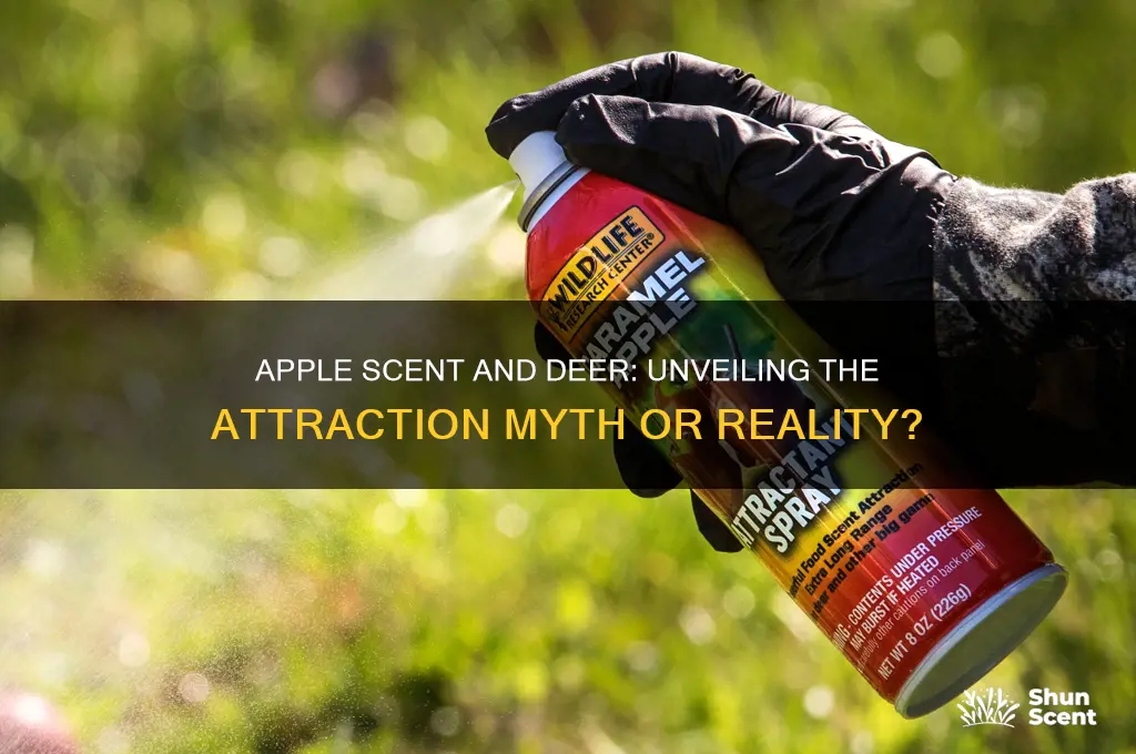 does apple scent attract deer