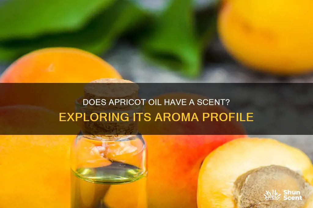 does apricot oil have a scent