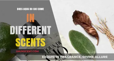 Exploring Aqua Di Gio: A Look at Its Various Fragrance Options