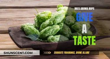 Aroma Hops: Adding Taste and Flavor to Your Beer