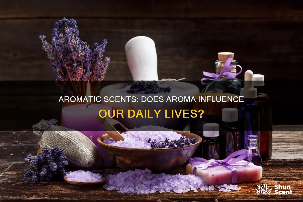 does aroma