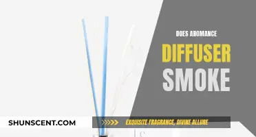 Aromance Diffuser Smoking: Is It Safe?