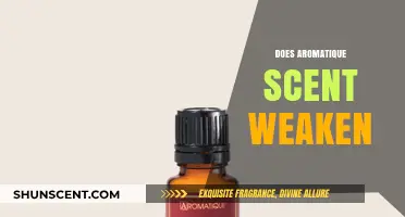 Does Aromatique Scent Weaken Over Time? A Comprehensive Analysis