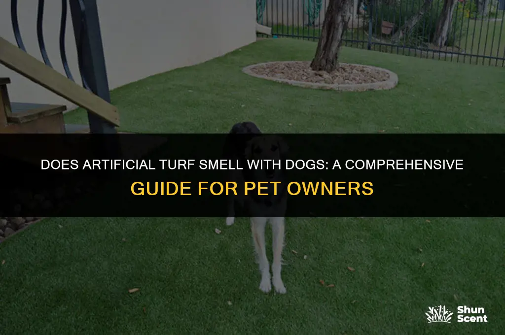 does artificial turf smell with dogs