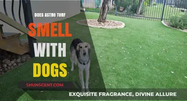 Decoding the Myth: Does Astro Turf Really Smell with Dogs?