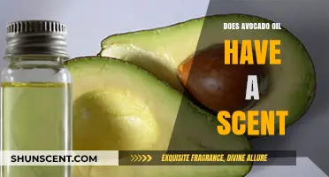 Does Avocado Oil Have a Scent? Uncovering Its Aromatic Truth