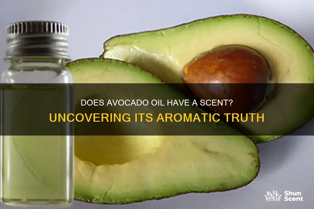 does avocado oil have a scent