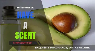 Avocado Oil Scent: Does It Smell, and What to Expect?