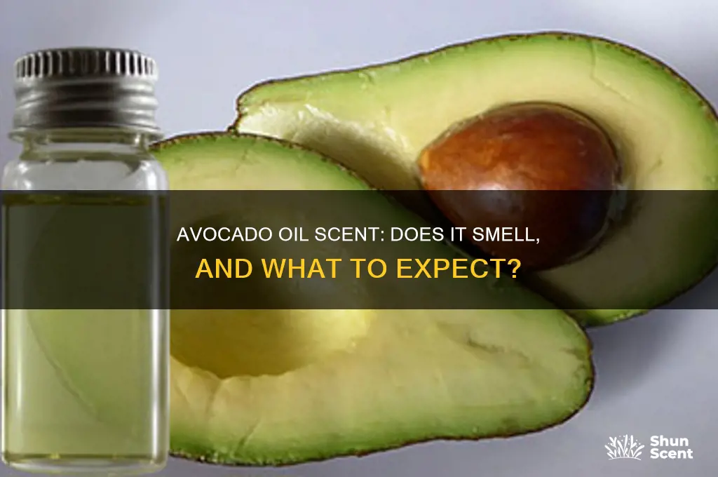 does avovado oil have a scent
