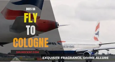 BA's Cologne Flights: All You Need to Know